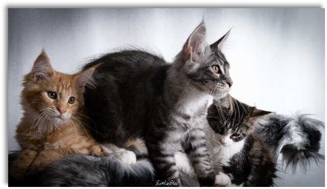 Photo franck0 1