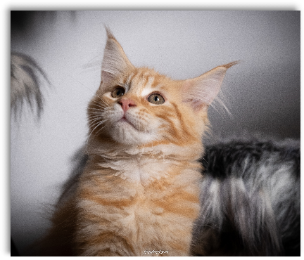 Photo franck01 1