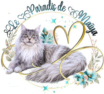 Logo 2026 petit site 1