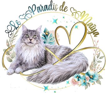 Logo 2026 petit site 2