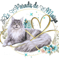 Logo 2027